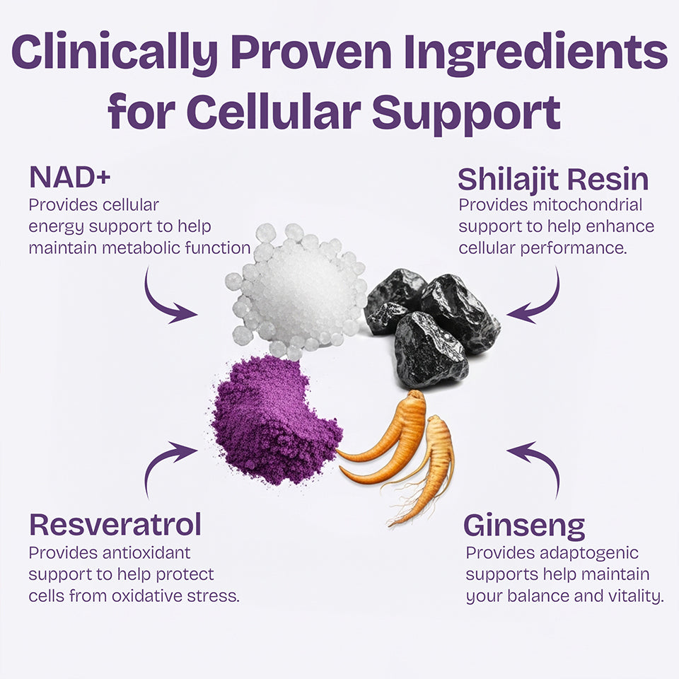 NAD+ Gummies for Cellular Energy & Healthy Aging