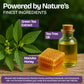 Psoriasis Shampoo for Dry & Itchy Scalp